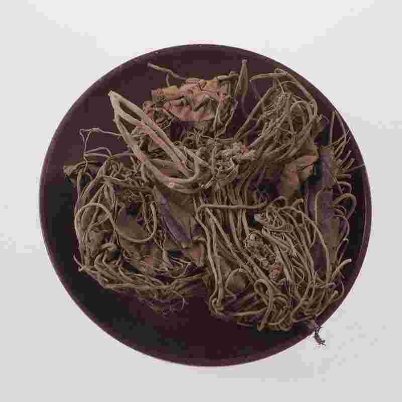 新鲜金耳环草药真实图片,新鲜金耳菌图片-第2张图片-翡翠网 新鲜金耳环草药真实图片,新鲜金耳菌图片-第2张图片-翡翠网