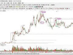 培育钻石上市公司股票,培育钻石股票龙头股-第2张图片-翡翠网