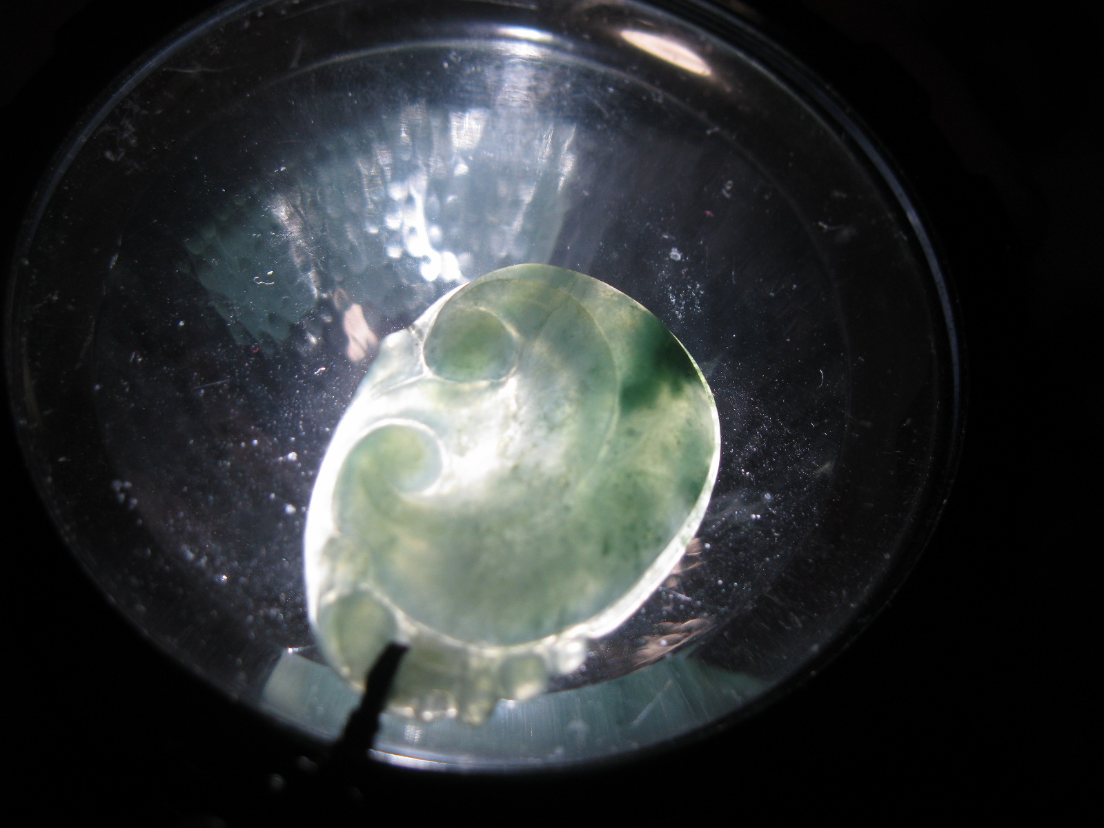 纤维柱粒交织结构的翡翠手镯值多少钱,翡翠手镯很多棉团是不是不好