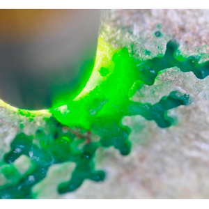 玉石翡翠原石翡翠原石ff-第1张图片-翡翠网 玉石翡翠原石翡翠原石ff-第1张图片-翡翠网