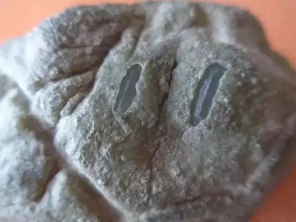 山料翡翠原石表面特征,玉石翡翠原石-第1张图片-翡翠网 山料翡翠原石表面特征,玉石翡翠原石-第1张图片-翡翠网