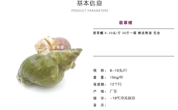 翡翠螺价格翡翠螺刺身-第1张图片-翡翠网 翡翠螺价格翡翠螺刺身-第1张图片-翡翠网