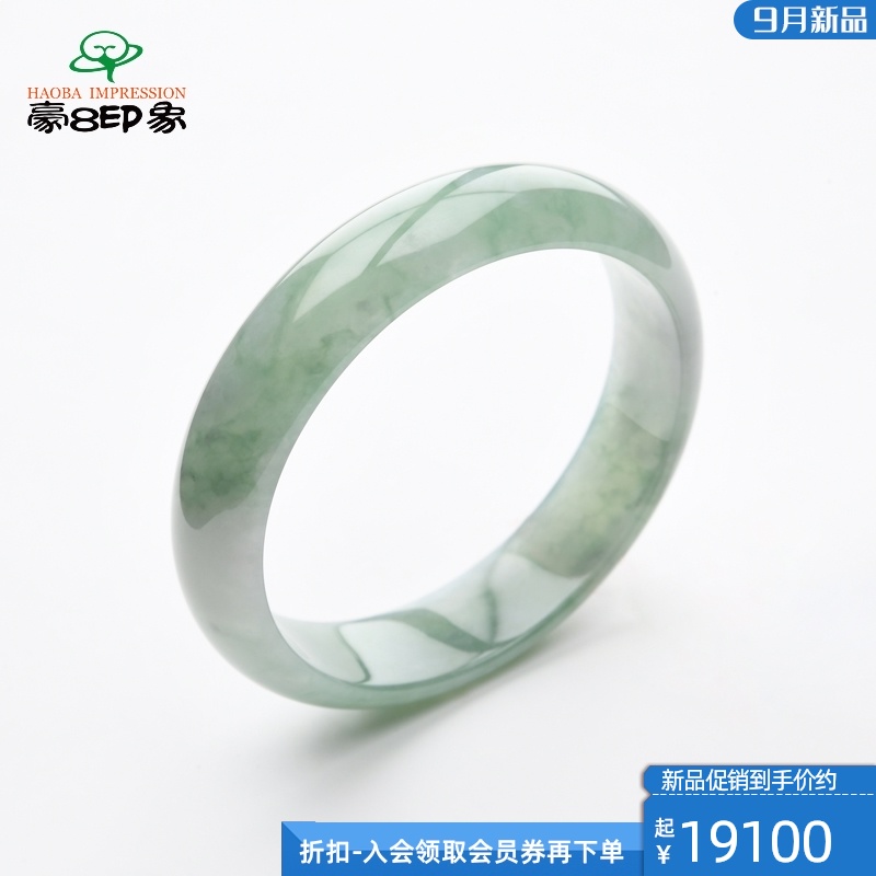 天然翡翠冰种飘绿花手镯白底飘阳绿翡翠手镯多少钱-第1张图片-翡翠网 天然翡翠冰种飘绿花手镯白底飘阳绿翡翠手镯多少钱-第1张图片-翡翠网