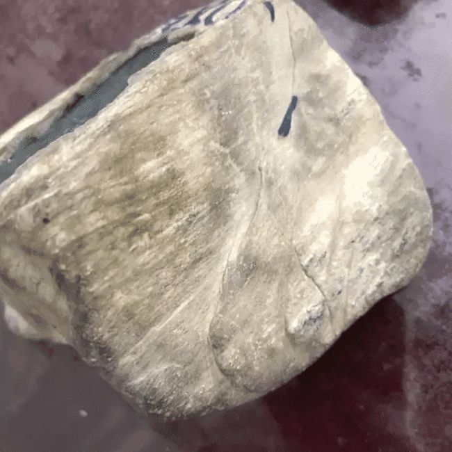 高种水石原石翡翠,翡翠原石一路走高-第1张图片-翡翠网 高种水石原石翡翠,翡翠原石一路走高-第1张图片-翡翠网