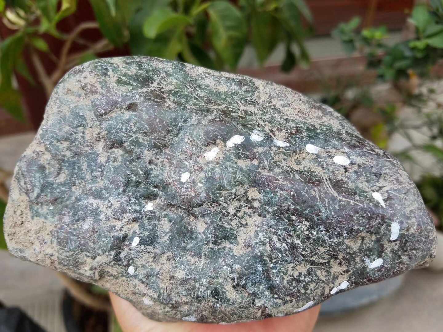 翡翠打磨不透光的原石,不透光翡翠原石-第2张图片-翡翠网 翡翠打磨不透光的原石,不透光翡翠原石-第2张图片-翡翠网