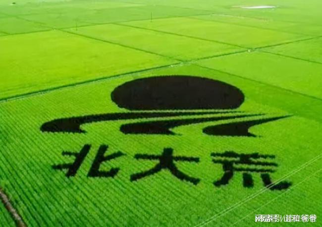 翡翠绿色手镯的话术翡翠镯子报价-第1张图片-翡翠网 翡翠绿色手镯的话术翡翠镯子报价-第1张图片-翡翠网