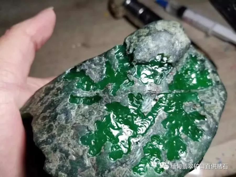 最大帝王绿翡翠原石的简单介绍-第2张图片-翡翠网 最大帝王绿翡翠原石的简单介绍-第2张图片-翡翠网