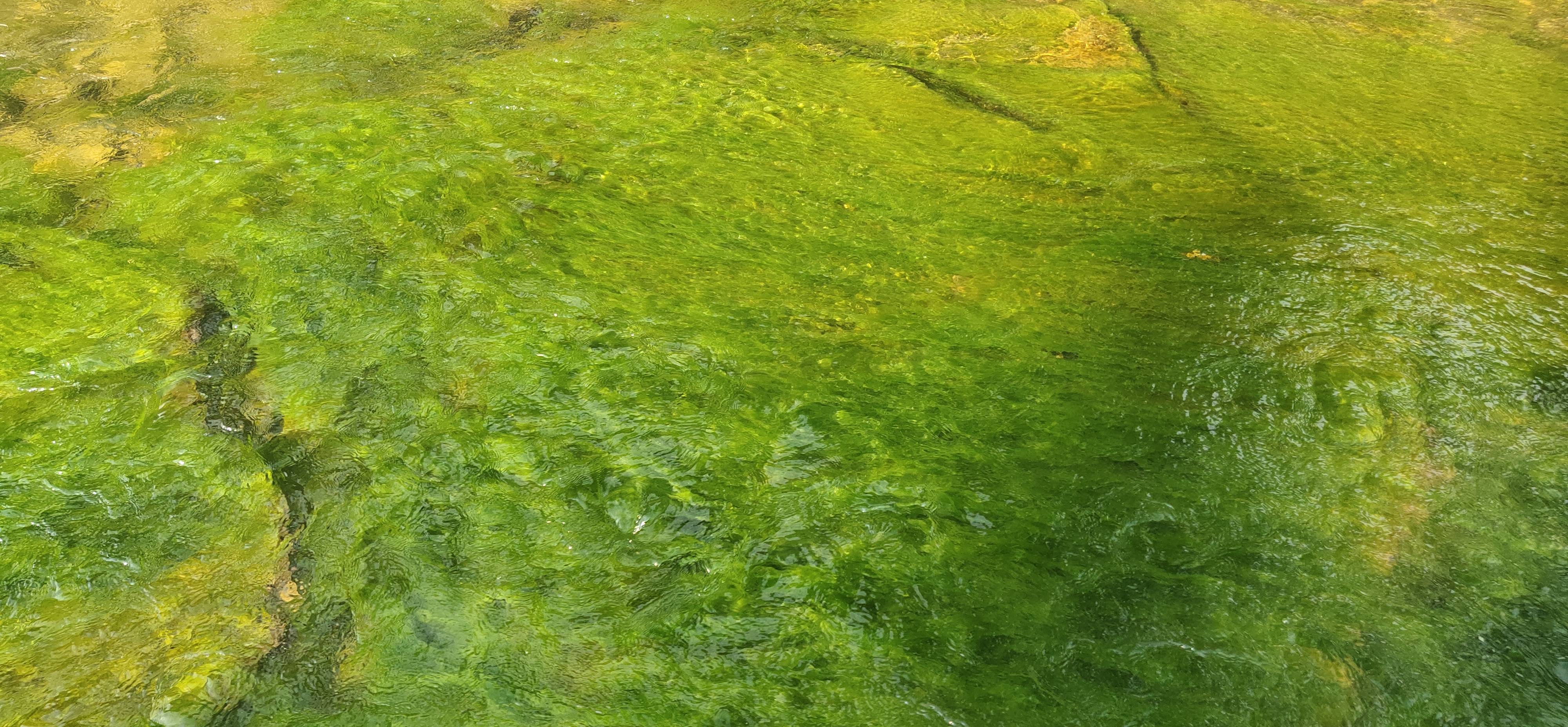 包含漓江有没有翡翠原石的词条-第1张图片-翡翠网 包含漓江有没有翡翠原石的词条-第1张图片-翡翠网