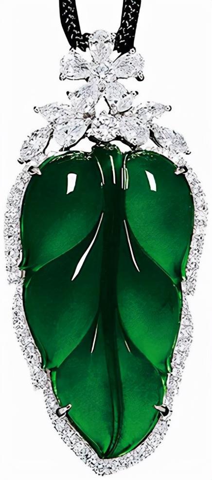 钻石翡翠吊兰寓意,翡翠钻石植物价格-第2张图片-翡翠网 钻石翡翠吊兰寓意,翡翠钻石植物价格-第2张图片-翡翠网