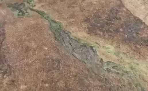 包含翡翠色料的知识的词条-第5张图片-翡翠网 包含翡翠色料的知识的词条-第5张图片-翡翠网