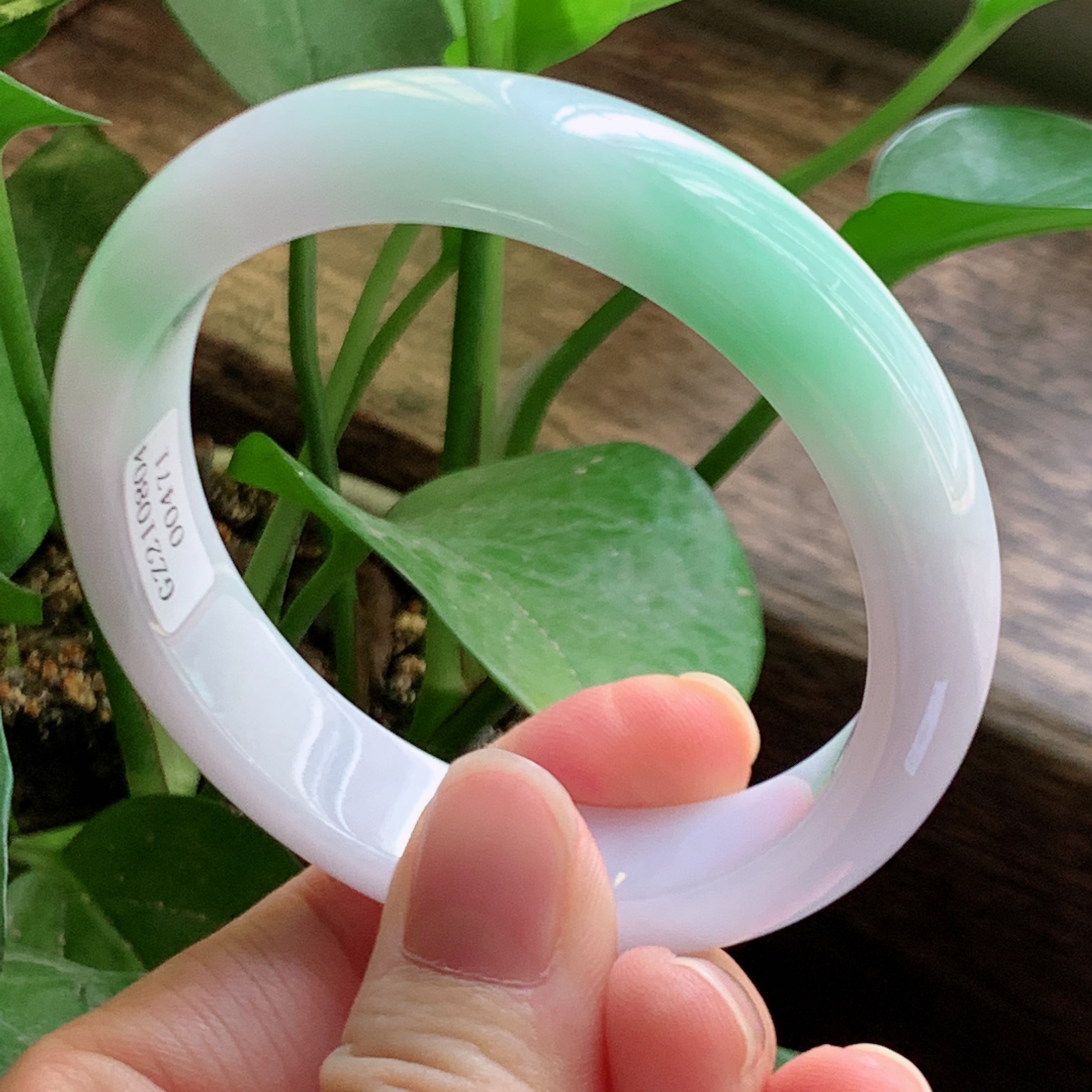 包含白绿翡翠手镯价格的词条-第1张图片-翡翠网 包含白绿翡翠手镯价格的词条-第1张图片-翡翠网