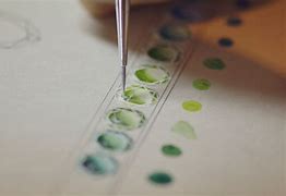 包含翡翠知识学习全集的词条-第2张图片-翡翠网 包含翡翠知识学习全集的词条-第2张图片-翡翠网