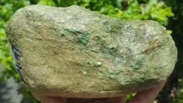 关于龙肯翡翠原石的信息-第3张图片-翡翠网 关于龙肯翡翠原石的信息-第3张图片-翡翠网