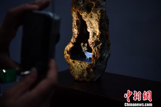 昆明世博园翡翠价格,昆明世博园别墅价格-第3张图片-翡翠网 昆明世博园翡翠价格,昆明世博园别墅价格-第3张图片-翡翠网