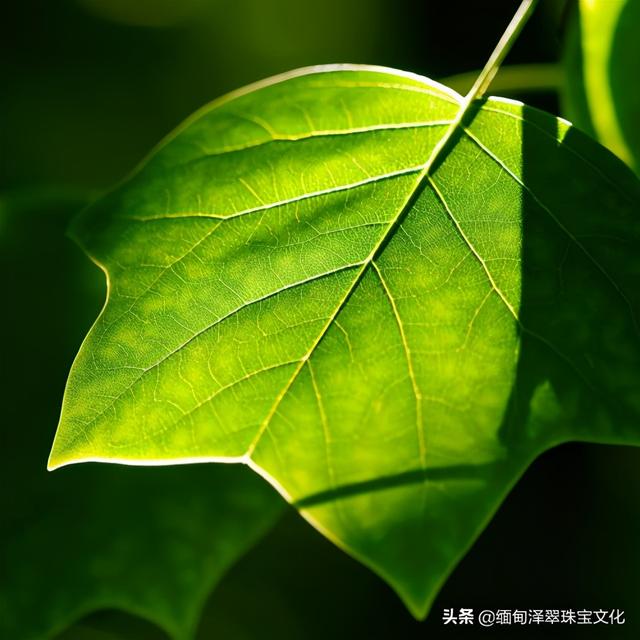 翡翠小知识100例的简单介绍-第8张图片-翡翠网 翡翠小知识100例的简单介绍-第8张图片-翡翠网