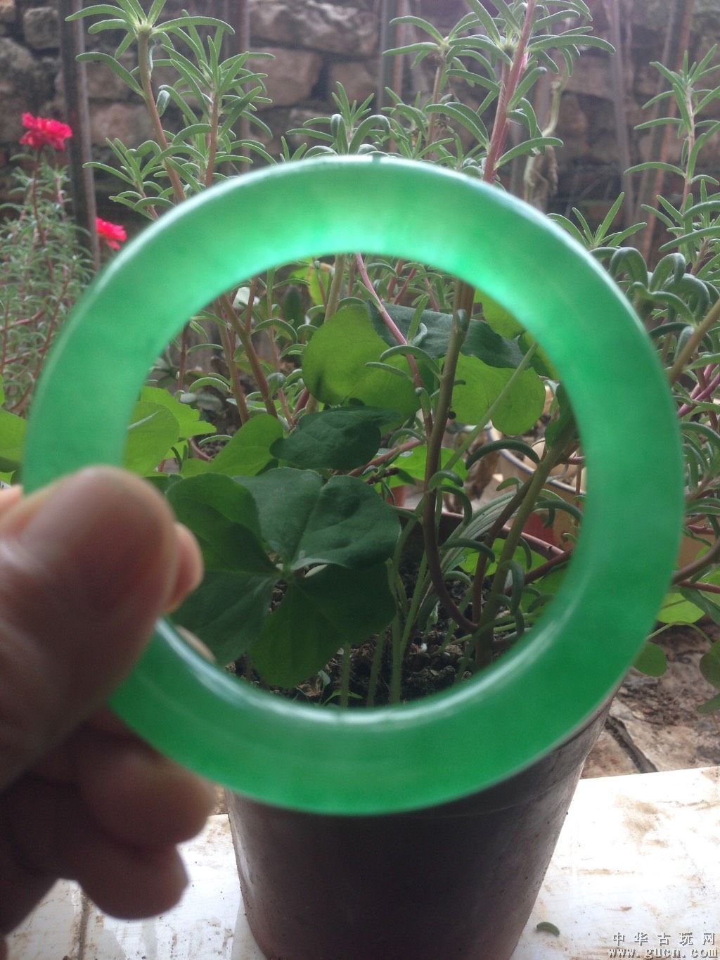 帝王绿翡翠图片 玻璃种糯种帝王绿和-第1张图片-翡翠网 帝王绿翡翠图片 玻璃种糯种帝王绿和-第1张图片-翡翠网