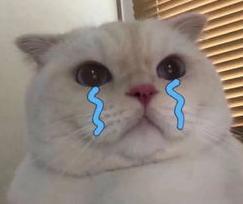 包含燕窝真假翡翠知识的词条-第1张图片-翡翠网 包含燕窝真假翡翠知识的词条-第1张图片-翡翠网