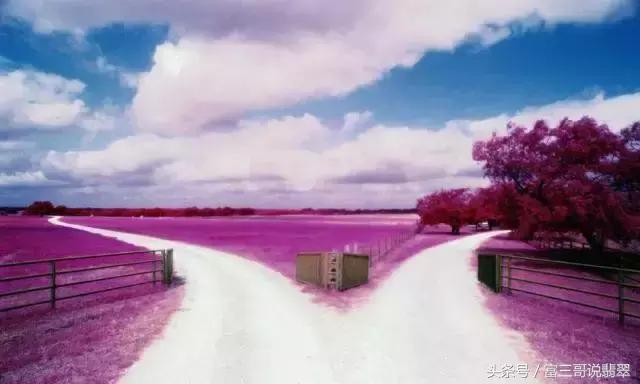 翡翠手镯沙星直播间翡翠手镯能买吗-第2张图片-翡翠网 翡翠手镯沙星直播间翡翠手镯能买吗-第2张图片-翡翠网