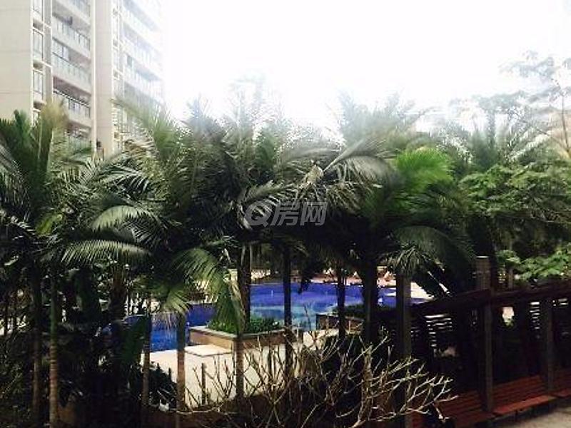 深圳翡翠明珠KTV,深圳翡翠明珠坐台价格-第2张图片-翡翠网 深圳翡翠明珠KTV,深圳翡翠明珠坐台价格-第2张图片-翡翠网