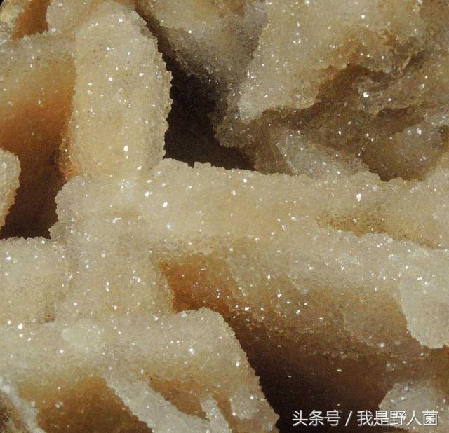 石英石染色造假绿翡翠石英石造假翡翠原石-第6张图片-翡翠网 石英石染色造假绿翡翠石英石造假翡翠原石-第6张图片-翡翠网