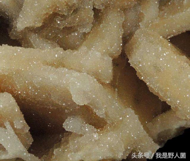 石英石染色造假绿翡翠石英石造假翡翠原石-第7张图片-翡翠网 石英石染色造假绿翡翠石英石造假翡翠原石-第7张图片-翡翠网