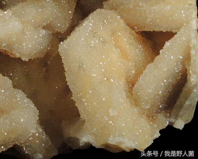 石英石染色造假绿翡翠石英石造假翡翠原石-第9张图片-翡翠网 石英石染色造假绿翡翠石英石造假翡翠原石-第9张图片-翡翠网