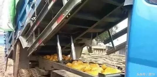 帝王绿翡翠原石图片茂名帝王紫翡翠原石-第16张图片-翡翠网 帝王绿翡翠原石图片茂名帝王紫翡翠原石-第16张图片-翡翠网