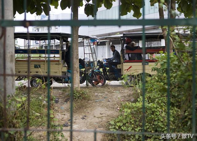 帝王绿翡翠原石图片茂名帝王紫翡翠原石-第25张图片-翡翠网 帝王绿翡翠原石图片茂名帝王紫翡翠原石-第25张图片-翡翠网