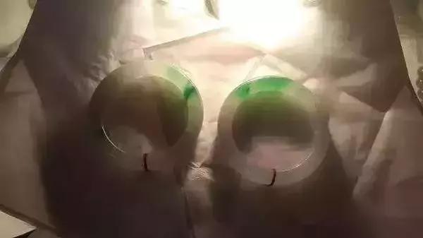 翡翠原石切出冰春绿,龙肯翡翠原石切不死-第12张图片-翡翠网 翡翠原石切出冰春绿,龙肯翡翠原石切不死-第12张图片-翡翠网