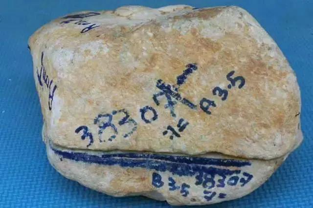 黄皮木那翡翠原石特点,马达木砍翡翠原石-第1张图片-翡翠网 黄皮木那翡翠原石特点,马达木砍翡翠原石-第1张图片-翡翠网