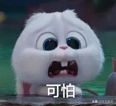 包含翡翠a货什么意思天天鉴宝的词条-第6张图片-翡翠网 包含翡翠a货什么意思天天鉴宝的词条-第6张图片-翡翠网