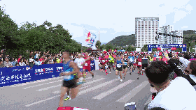 安全知识竞赛队名和口号大全刻翡翠知识竞赛队名-第6张图片-翡翠网 安全知识竞赛队名和口号大全刻翡翠知识竞赛队名-第6张图片-翡翠网