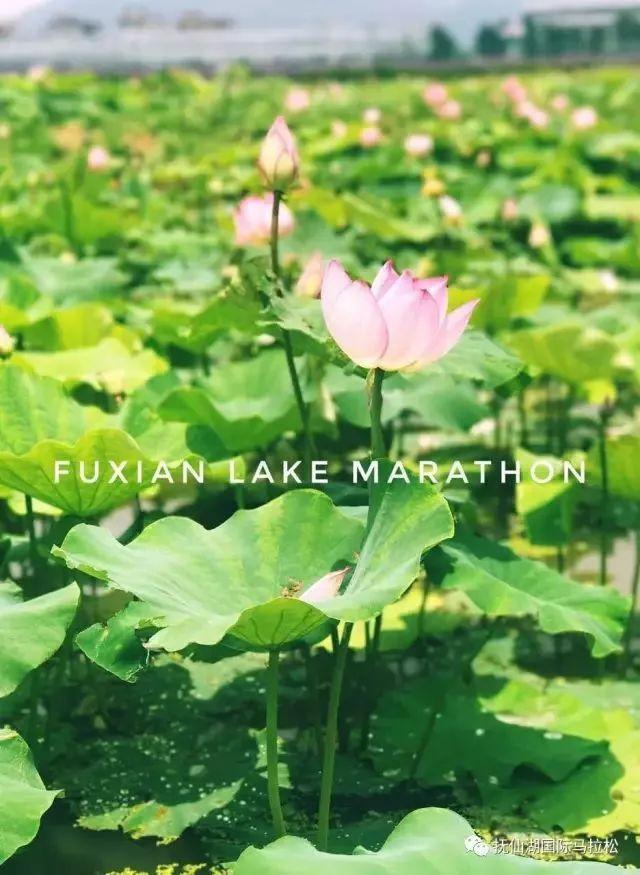 安全知识竞赛队名和口号大全刻翡翠知识竞赛队名-第9张图片-翡翠网 安全知识竞赛队名和口号大全刻翡翠知识竞赛队名-第9张图片-翡翠网