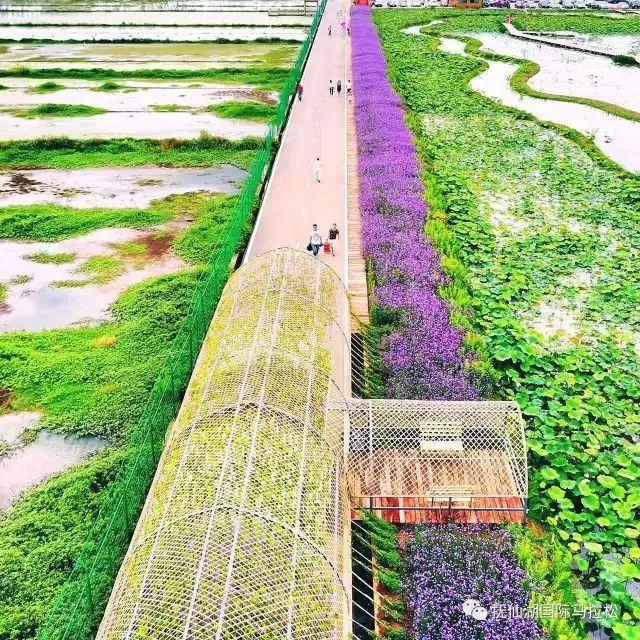 安全知识竞赛队名和口号大全刻翡翠知识竞赛队名-第10张图片-翡翠网 安全知识竞赛队名和口号大全刻翡翠知识竞赛队名-第10张图片-翡翠网