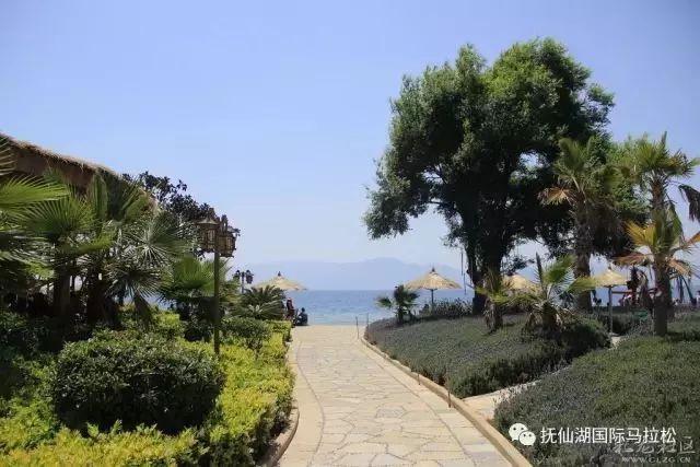 安全知识竞赛队名和口号大全刻翡翠知识竞赛队名-第11张图片-翡翠网 安全知识竞赛队名和口号大全刻翡翠知识竞赛队名-第11张图片-翡翠网