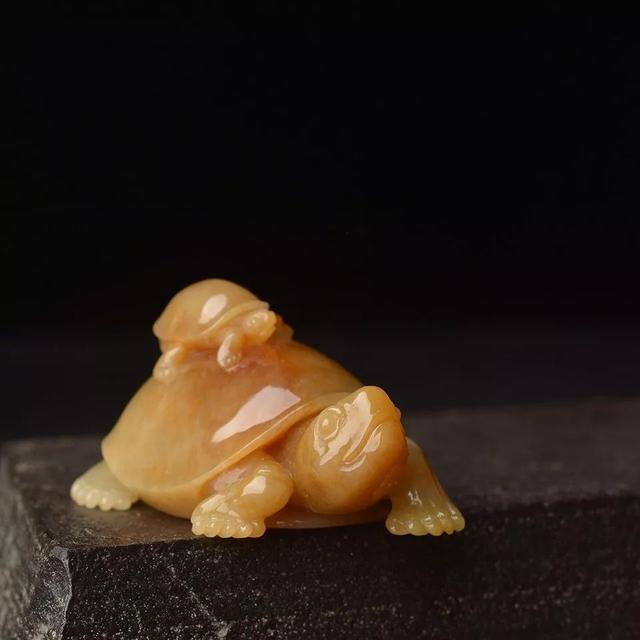 翡翠原石怎么养才能透,用翡翠原石养乌龟-第5张图片-翡翠网 翡翠原石怎么养才能透,用翡翠原石养乌龟-第5张图片-翡翠网