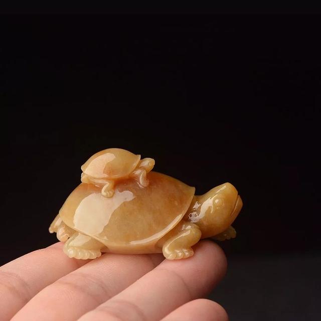 翡翠原石怎么养才能透,用翡翠原石养乌龟-第6张图片-翡翠网 翡翠原石怎么养才能透,用翡翠原石养乌龟-第6张图片-翡翠网