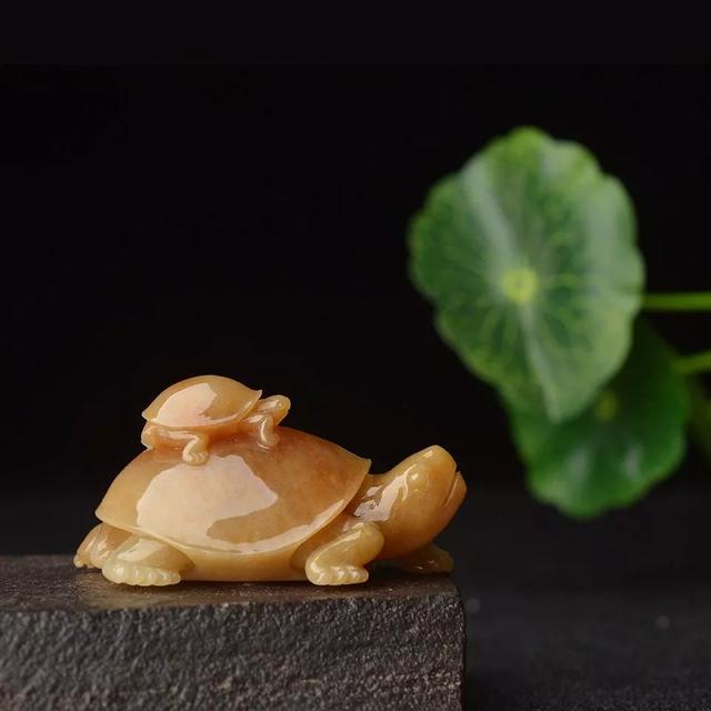 翡翠原石怎么养才能透,用翡翠原石养乌龟-第7张图片-翡翠网 翡翠原石怎么养才能透,用翡翠原石养乌龟-第7张图片-翡翠网