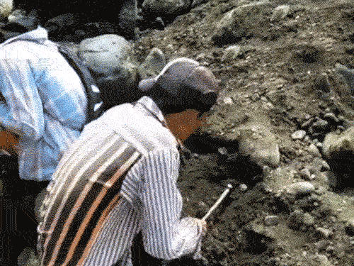 关于翡翠原石敲打有金属声响好吗的信息-第4张图片-翡翠网 关于翡翠原石敲打有金属声响好吗的信息-第4张图片-翡翠网