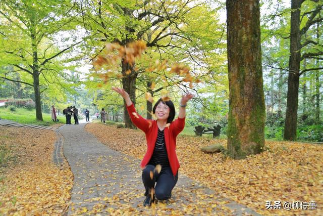 翡翠手镯怎么拍照好看翡翠手镯如何拍照-第2张图片-翡翠网