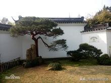 包含营山帝王绿翡翠原石的词条-第13张图片-翡翠网 包含营山帝王绿翡翠原石的词条-第13张图片-翡翠网