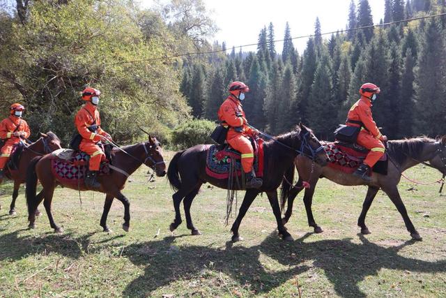 滕翡翠知识新青年杂志的简单介绍-第1张图片-翡翠网 滕翡翠知识新青年杂志的简单介绍-第1张图片-翡翠网