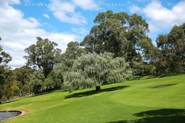 翡翠鹰头的价格,翡翠鹰头寓意-第32张图片-翡翠网