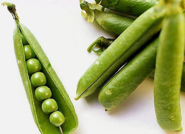 翡翠手镯的豆种的图片1500元豆种翡翠手镯图片-第2张图片-翡翠网 翡翠手镯的豆种的图片1500元豆种翡翠手镯图片-第2张图片-翡翠网