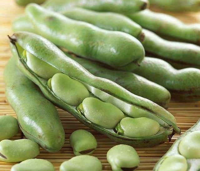 粗豆种翡翠手镯图片,900元豆种翡翠手镯图片-第5张图片-翡翠网 粗豆种翡翠手镯图片,900元豆种翡翠手镯图片-第5张图片-翡翠网