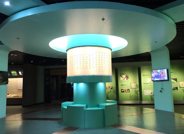 翡翠鼻烟壶市场价格翡翠毛石市场价格-第13张图片-翡翠网 翡翠鼻烟壶市场价格翡翠毛石市场价格-第13张图片-翡翠网