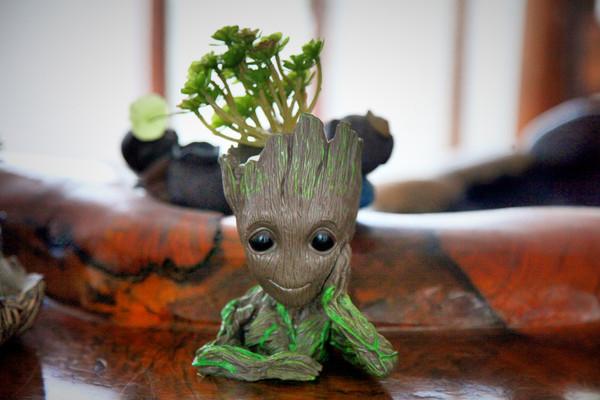 翡翠鼻烟壶市场价格翡翠毛石市场价格-第47张图片-翡翠网 翡翠鼻烟壶市场价格翡翠毛石市场价格-第47张图片-翡翠网