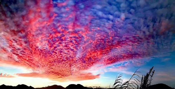 翡翠鼻烟壶市场价格翡翠毛石市场价格-第58张图片-翡翠网 翡翠鼻烟壶市场价格翡翠毛石市场价格-第58张图片-翡翠网