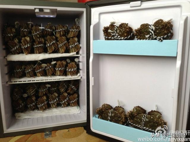 包含刘晓庆翡翠知识星球的词条-第21张图片-翡翠网 包含刘晓庆翡翠知识星球的词条-第21张图片-翡翠网