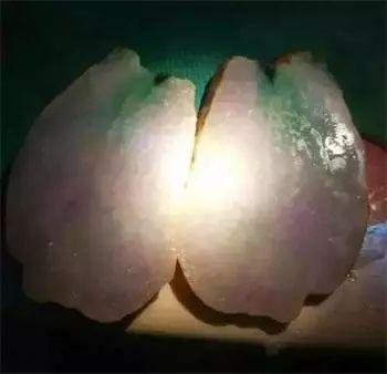 5万元春带彩翡翠手镯,春带彩翡翠手镯豆种-第11张图片-翡翠网 5万元春带彩翡翠手镯,春带彩翡翠手镯豆种-第11张图片-翡翠网